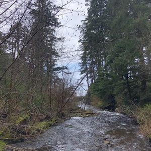 Meet your Posher, Isabel